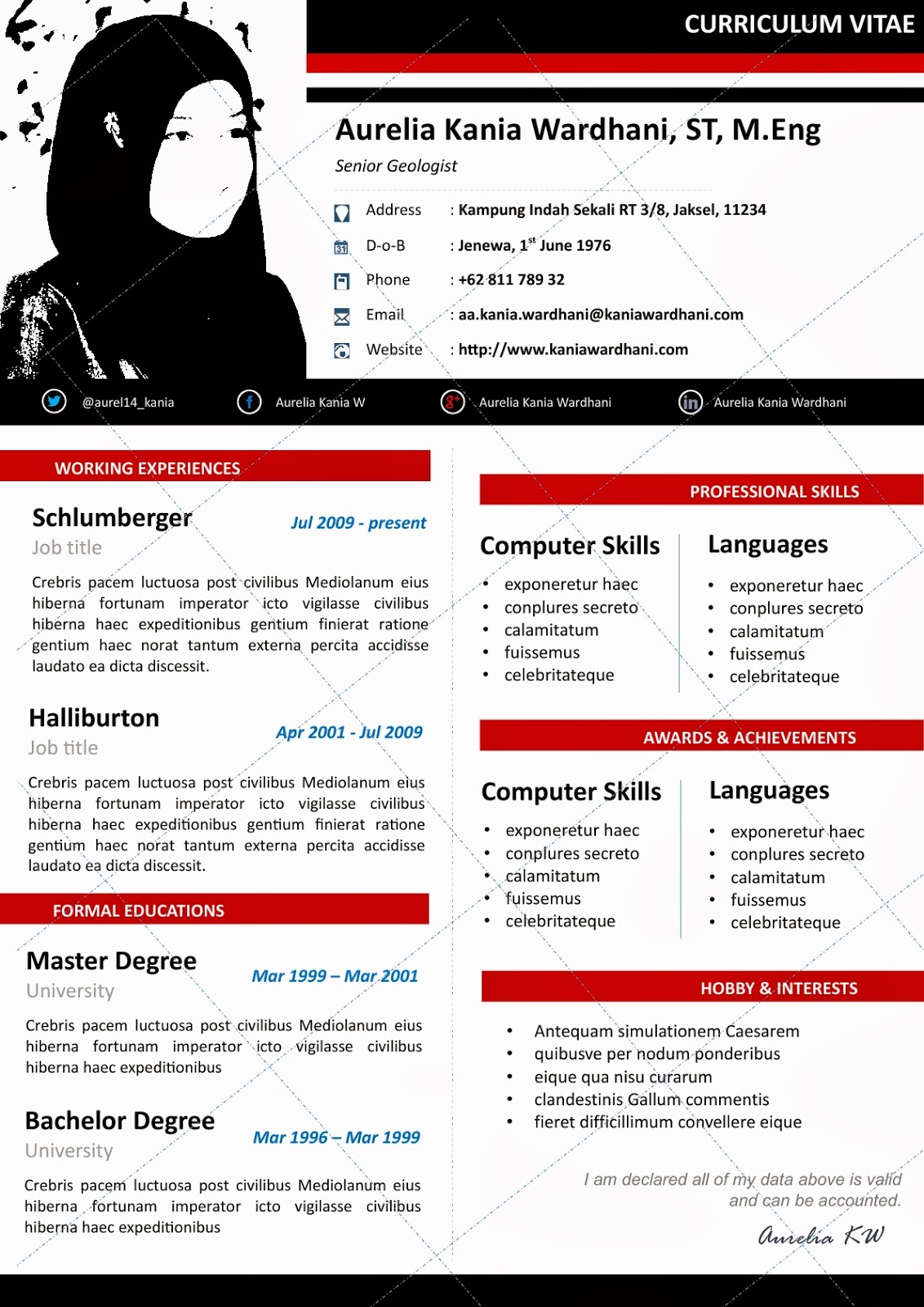 Sample of chauffer resume